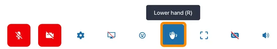 The bottom toolbar of a Session with the Hand button highlighted and a Lower hand (R) label above it